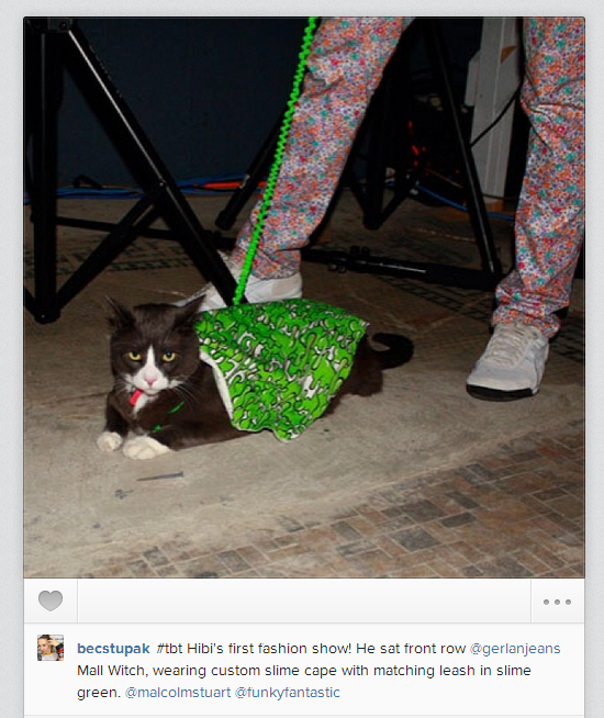 Artist Bec Stupak's cat is clearly one of the more fashion-forward felines on the internet.