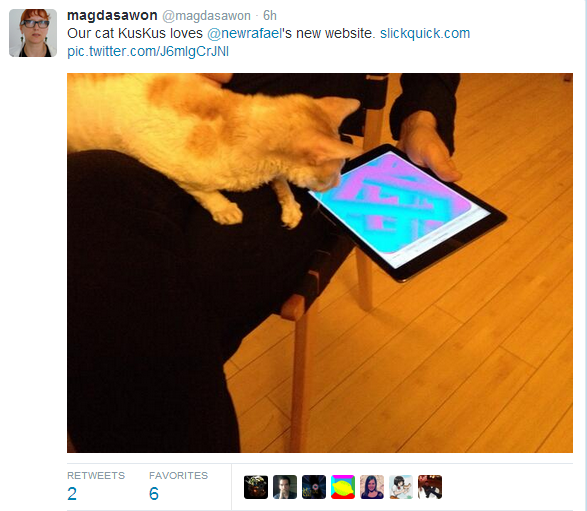 Apparently cats have great taste in websites.
