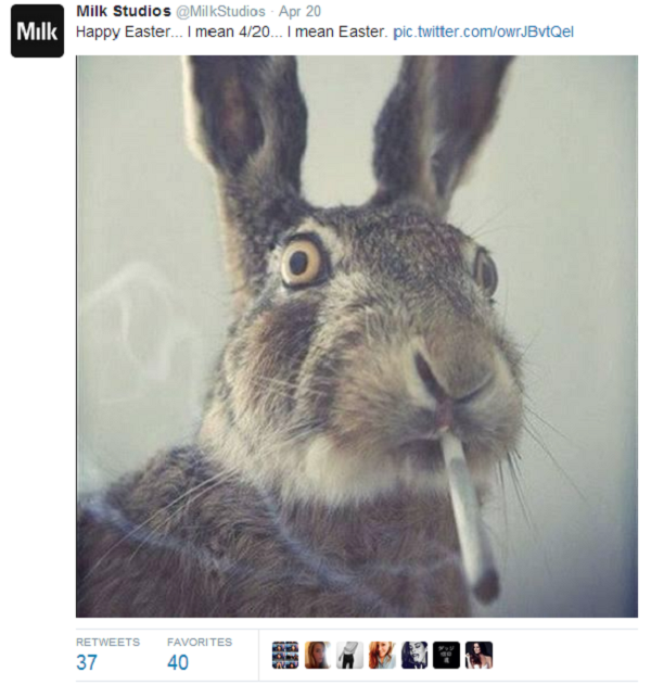 This rabbit looks, um, "confused".