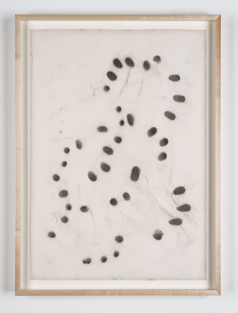 Diango Hernandez, Fingerprints in Motion (2013) Courtesy Marlborough Contemporary 