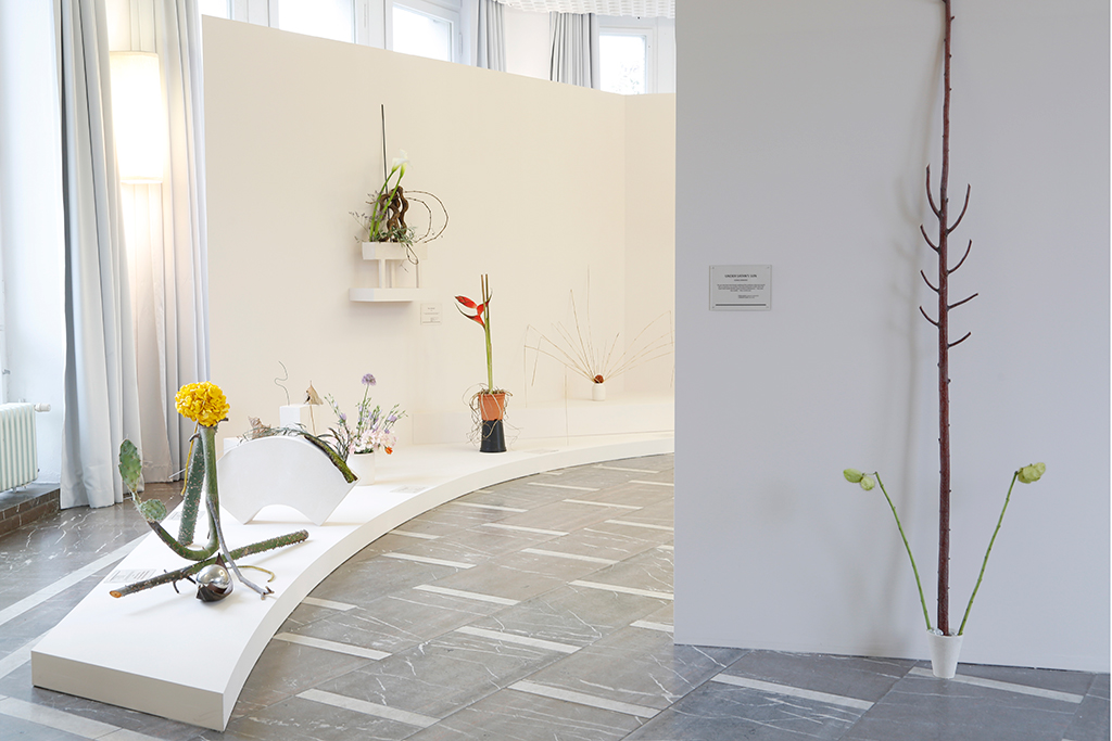Installation View Camille Henrot, Snake Grass, Schinkel Pavillon, Berlin 2014 © Camille Henrot, Galerie Kamel Mennour, Paris