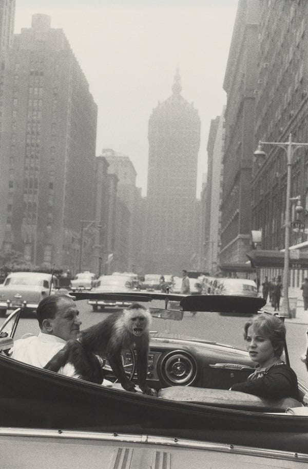 Garry Winogrand, Park Avenue, New York (1959). National Gallery of Art, Patrons' Permanent Fund ©The Estate of Garry Winogrand, courtesy Fraenkel Gallery, San Francisco