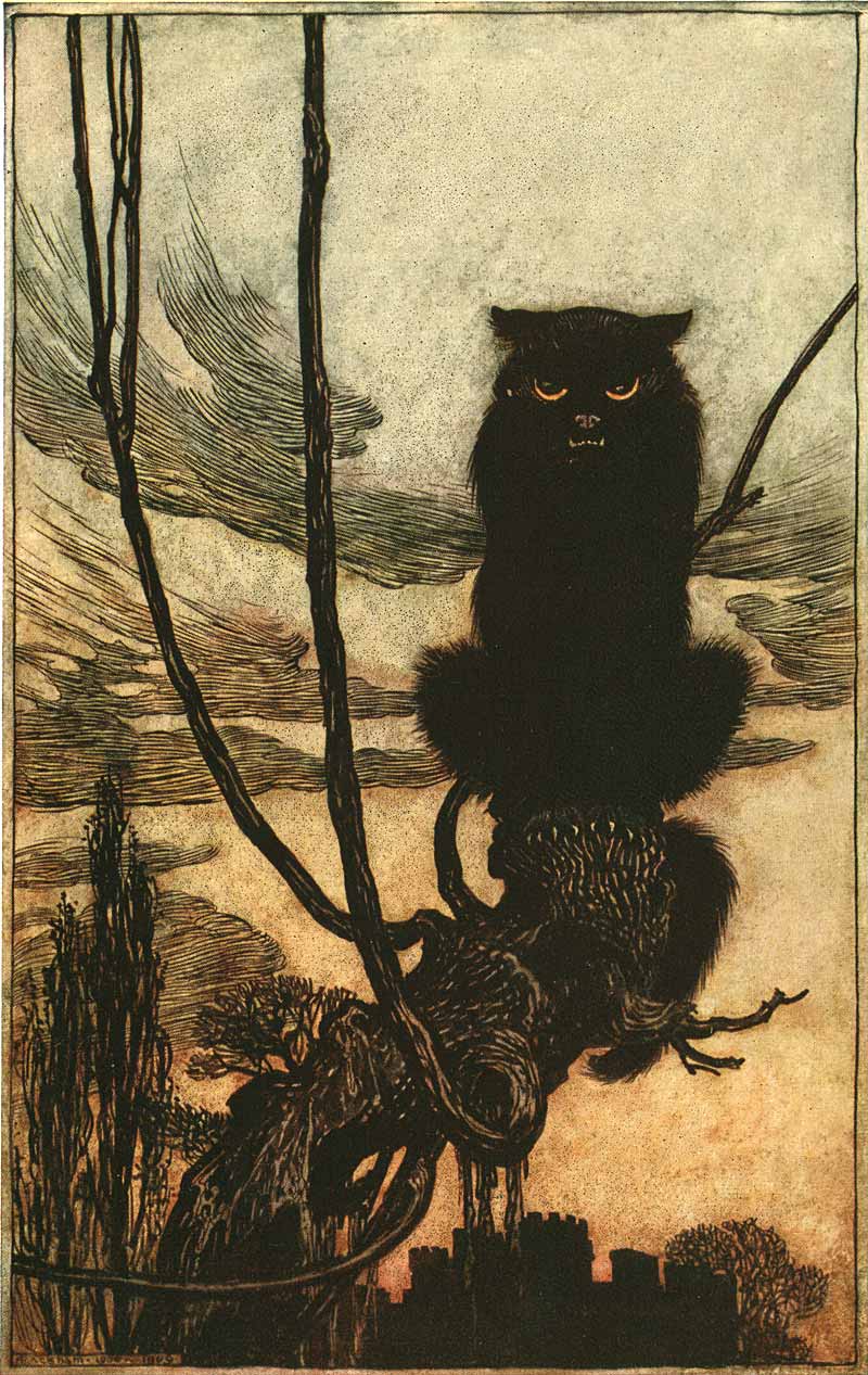 Arthur Rackham, "By day she made herself into a cat," 1920        