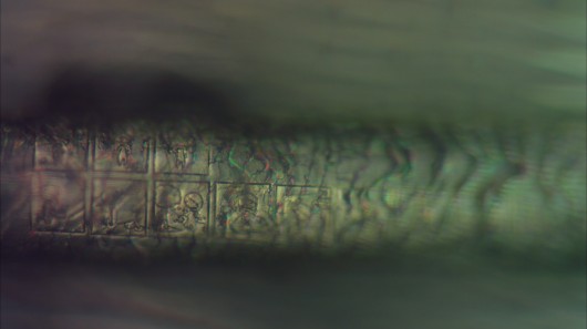 This Microscopic Comic Strip Fits on a Single Strand of Hair
