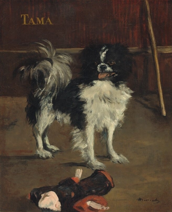 Édouard Manet, <em>Tama, the Japanese Dog</em> (circa 1875). Photo: courtesy the National Gallery of Art, Washington, D.C.