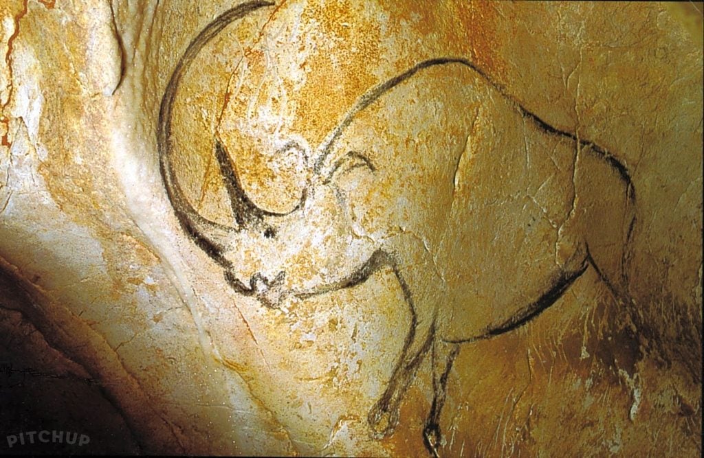 An ancient cave painting of a rhino at France's Grotte Chauvet. Photo by Inocybe, public domain.