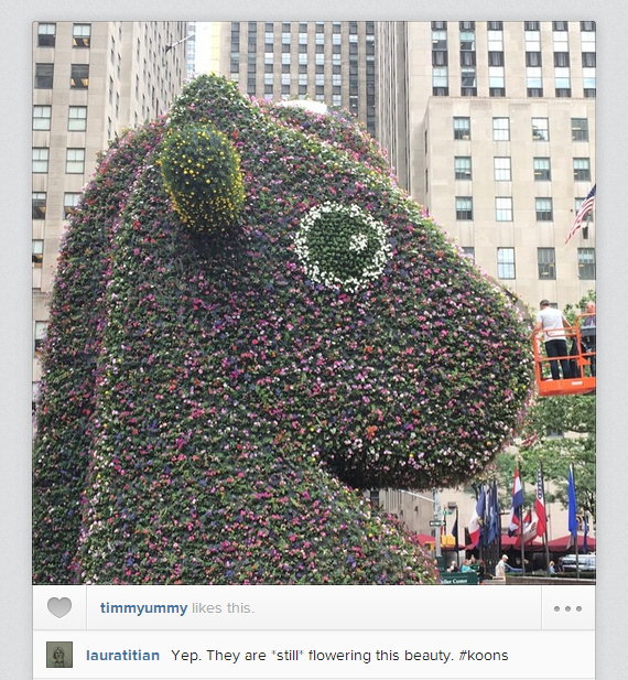This could make for a local flower shortage. Photo: Instagram/@lauratitian