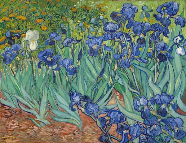 Vincent van Gogh, Irises, (1889), courtesy The J. Paul Getty Museum, Los Angeles