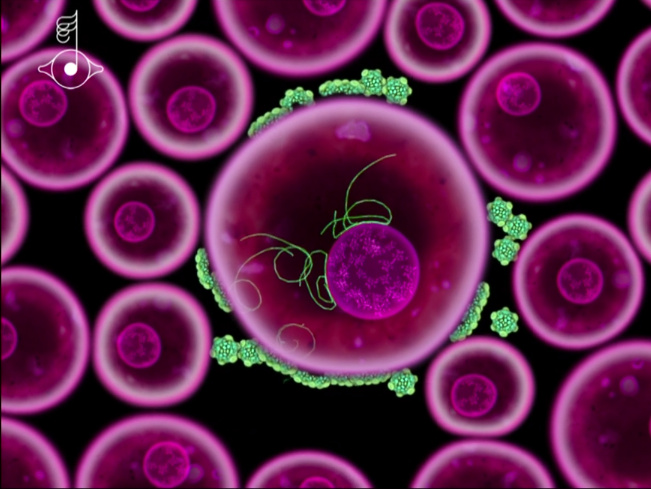 Björk Gudmunsdóttir and Scott Snibbe. “Virus,” <em>Biophilia</em> (2011), screenshot. Photo: via the Creator's Project. 