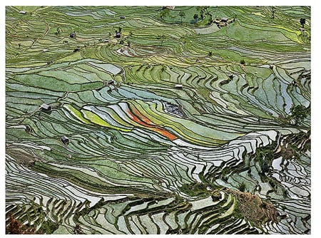 Edward Burtynsky, Rice Terraces #2, Western Yunnan Province, China, 2012, Flowers, London, UK