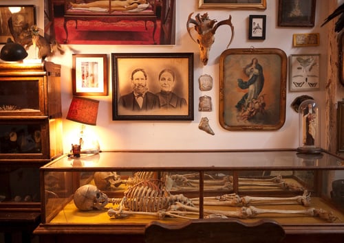 Brooklyn's new Morbid Anatomy Museum boasts 2,500 books and one human skeleton. Photo: courtesy the Morbid Anatomy Museum.