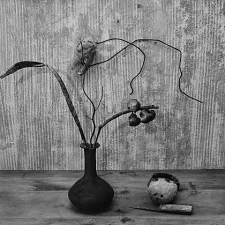 Vase and Skull by Roger Ballen