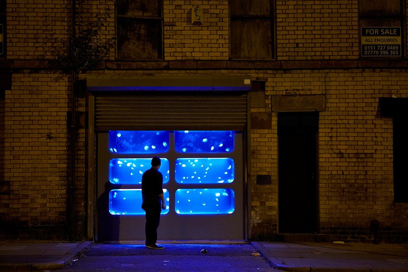 Walter Hugo and Zoniel The Physical Possibility of Inspiring Imagination in the Mind of Somebody Living (2014), jellyfish on nocturnal display in an abandoned Liverpool building. Photo: courtesy Gazelli Art House, London.