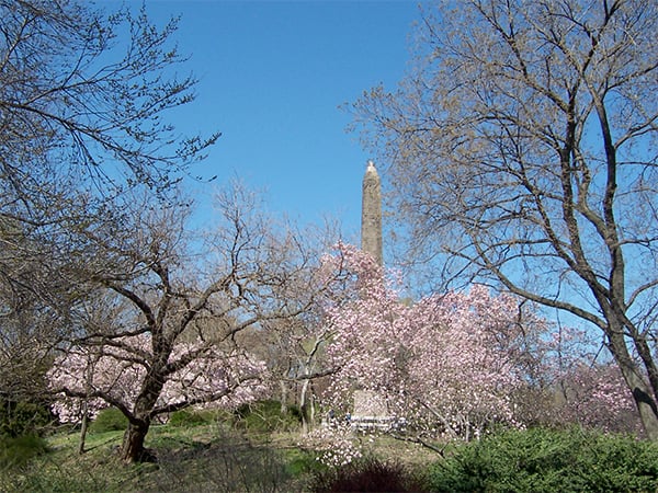 The obelisk in Central Park. Photo: Michael Minn via MichaelMinn.net.