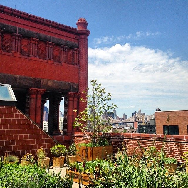 M. Wells Rooftop Garden at MoMA PS1, Queens. Photo: via MoMA PS1 Facebook page.