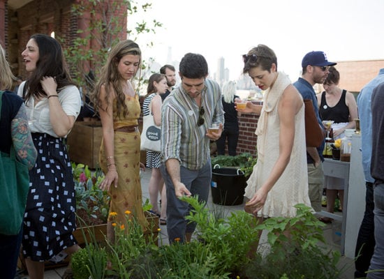 Guests enjoy the MoMA PS1 Rooftop salad party, hosted by Julia Sherman and Camilla Hammer at their MoMA PS1 Salad Garden in Queens, New York. Photo: Julia Sherman.