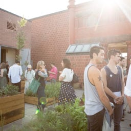 Guests enjoy the MoMA PS1 Rooftop salad party, hosted by Julia Sherman and Camilla Hammer at their MoMA PS1 Salad Garden in Queens, New York. Photo: Julia Sherman.