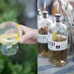 Herb infused martinis at the MoMA PS1 Rooftop salad party, hosted by Julia Sherman and Camilla Hammer at their MoMA PS1 Salad Garden in Queens, New York. Photo: Julia Sherman.