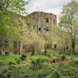 The Tuberculosis Pavilion in spring, North Brother Island. Photo: Christopher Payne.