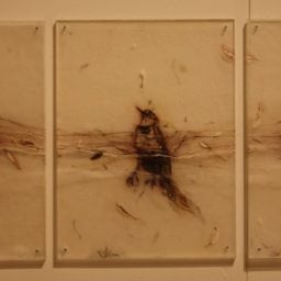 Sibylle Peretti, "Making Birds" (2014)