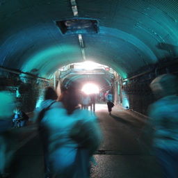 Jana Winderen, DIVE (2014), in the Park Avenue Tunnel, commissioned by New York City DOT Art as park of Summer Streets. Photo: Sarah Cascone.