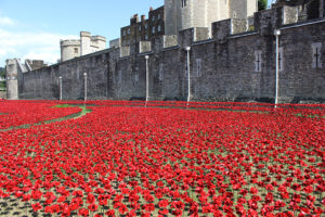 Paul Cummins and Tom Piper, Blood Swept Lands and Seas of Red (2014), at the Tower of London, marks the centennial of Britain's entrance into World War I. Photo: Historic Royal Palaces.