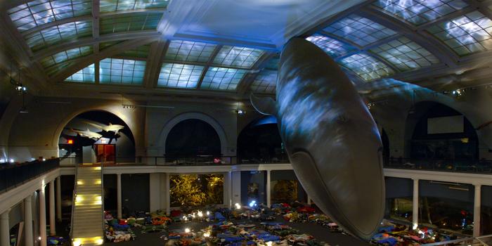 Sleepover at the Museum of Natural History. Photo: courtesy the American Museum of Natural History, New York.
