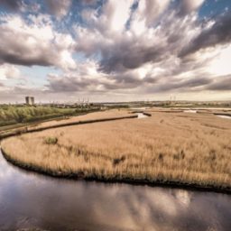 Rus Turner, drone photograph of clouds above the River Test at Nursling, Hampshire, UK. Photo: Rus Turner.