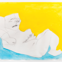The Nakeds Maria Lassnig, Woman in the Bed (2002) Private collection, New York, courtesy the Drawing Room