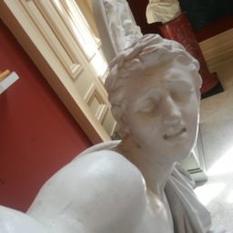 Statue selfies