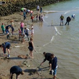 Folkestone residents dig for gold Photo: Paul Wight via Twitter
