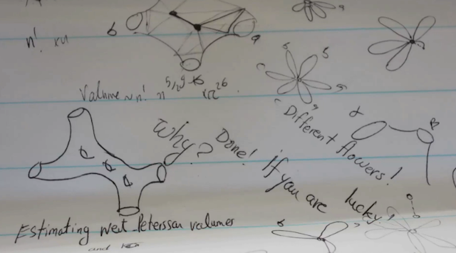 Video still from Maryam Mirzakhani."© 2014 International Mathematical Union.