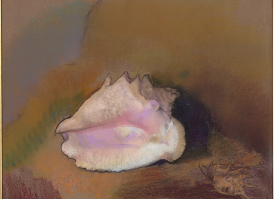 Odilon Redon, La coquille, 1912 ©RMN-Grand Palais (musée d'Orsay) / Hervé Lewandowski