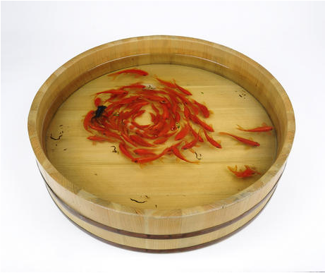 Riusuke Fukahori, The Sun (2013) Japanese sushi oke, resin, acrylic  16.25 in. diameter x 4 in. Photo: courtesy of the artist and Joshua Liner Gallery.