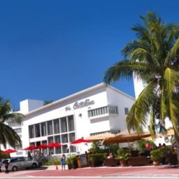 Catalina Hotel, Miami Art Basel