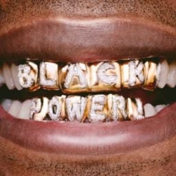 Hank Willis Thomas, "Black Power (from branded series)" (2006)
