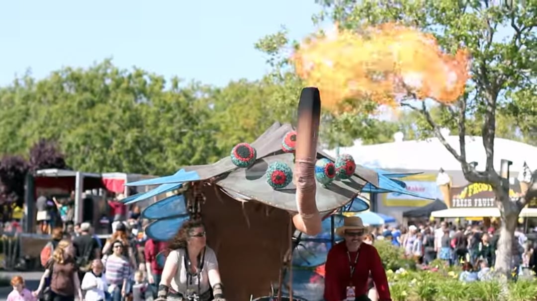 Video still from the Maker Faire website.