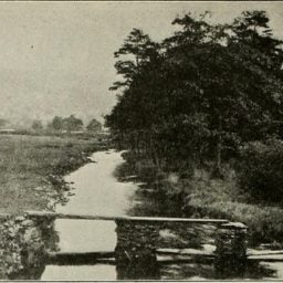 Image from page 245 of "Western field" (1902) Via: Internet Archive Book Images