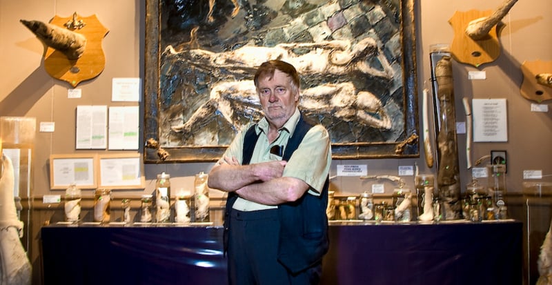 Sigurður Hjartarson, curator and founder of Iceland's Phallological Museum, at the offbeat institution. Photo courtesy of Iceland's Phallological Museum.