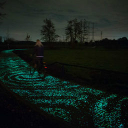 The van Gogh-inspired cycle path, by Daan Roosengaarde Photo via: Bored Panda