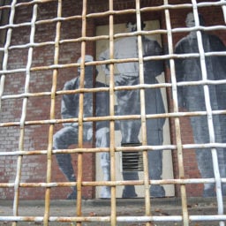 JR, "Unframed—Ellis Island" (detail). The only outdoor pasting in the installation is located in a caged porch in the former psychopathic disease ward. Photo: Sarah Cascone.