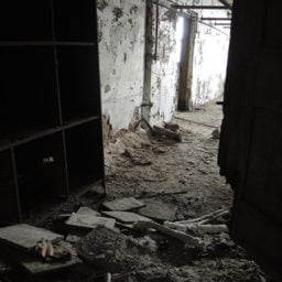 Inside the abandoned Ellis Island hospital complex. Photo: Sarah Cascone.