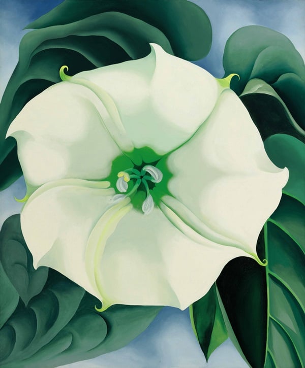 Georgia O'Keeffe, Jimson Weed/White Flower No. 1 sold for $44.4 million at Sotheby's, far above the estimated $10 milion–15 million estimate. Photo: courtesy Sotheby's.