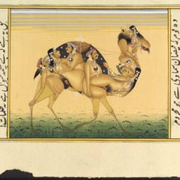 A camel whose body is composed of copulating humansPhoto: Courtesy Wellcome Library, London