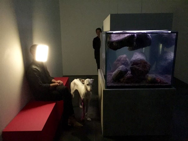 Participant wearing Player (2010) with Human (2012) [the dog], alongside Zoodram 5 (2011), during the opening of "Pierre Huyghe" at LACMA