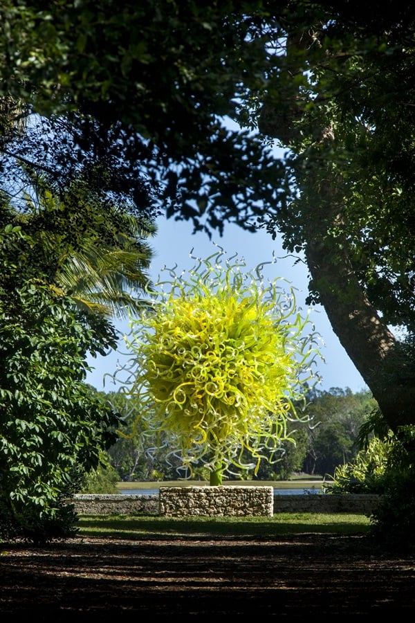 Chihuly Returns to Tropical Botanical Garden