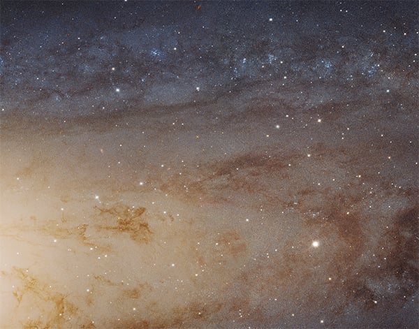 A detail from the Hubble Space Telescope's largest photograph ever, which depicts the Andromeda galaxy. Photo: NASA.