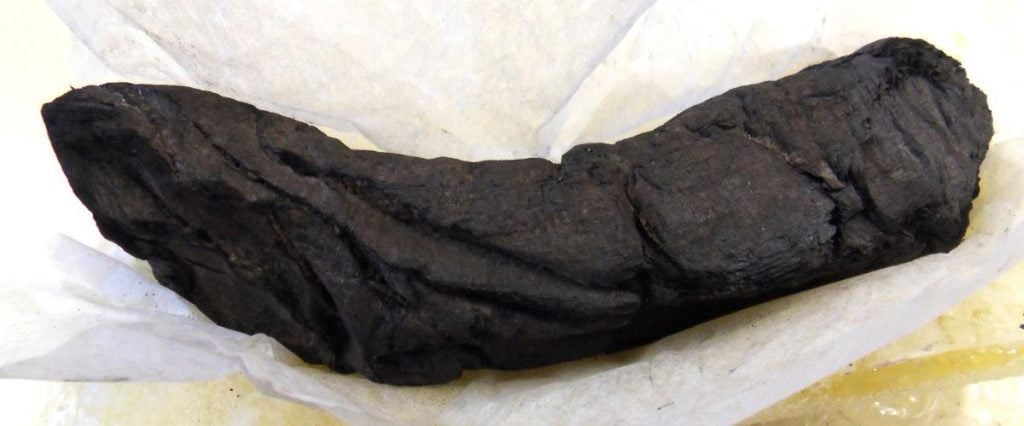 A charred rolled scroll from Herculaneum. Scientists hope to be able to read such texts for the first time thanks to x-ray phase-contrast tomography. Photo by D. Delattre, ©Bibliothèque de l'Institut de France.