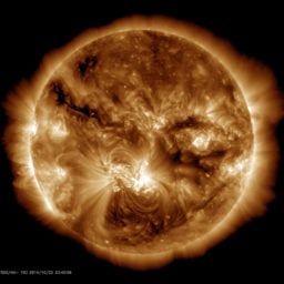 "In October 2014, the largest sunspot group in 24 years was visible on the sun. In this image from October 22 a brightly glowing active region in the corona can be seen in the middle, hovering over—and shaped by—the magnetic fields of the sunspots below." Photo: NASA/SDO/LMSAL.