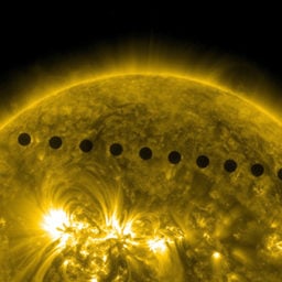 "On June 5 and 6, 2012, AIA observed a rare transit of Venus moving across its face as viewed from Earth (and SDO's) perspective. This image is a composite of many, put together to show the planet's path. . . . The next Venus transit will be December 10–11, 2117." Photo: NASA/SDO/Goddard Visualization Studio.